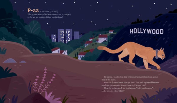 Cougar Crossing: How Hollywood's Celebrity Helped Build a Bridge for City Wildlife