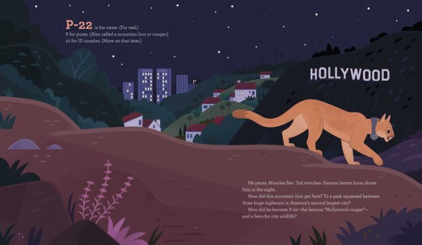 Cougar Crossing: How Hollywood's Celebrity Helped Build a Bridge for City Wildlife