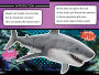 Alternative view 2 of Sharks Can't Smile!: And Other Amazing Facts (Ready-to-Read Level 2)