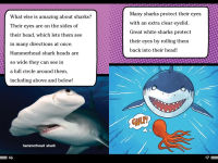 Alternative view 5 of Sharks Can't Smile!: And Other Amazing Facts (Ready-to-Read Level 2)