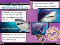 Alternative view 6 of Sharks Can't Smile!: And Other Amazing Facts (Ready-to-Read Level 2)