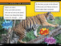 Alternative view 2 of Tigers Can't Purr!: And Other Amazing Facts (Ready-to-Read Level 2)