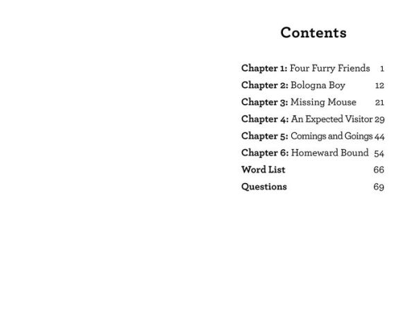 Mitzy's Homecoming: A QUIX Book