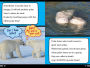 Alternative view 4 of Polar Bear Fur Isn't White!: And Other Amazing Facts (Ready-to-Read Level 2)