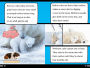 Alternative view 5 of Polar Bear Fur Isn't White!: And Other Amazing Facts (Ready-to-Read Level 2)