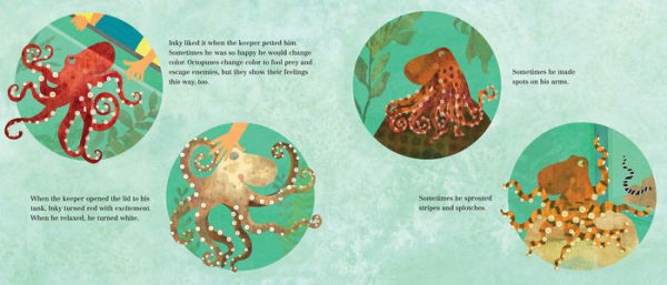 Inky's Amazing Escape: How a Very Smart Octopus Found His Way Home