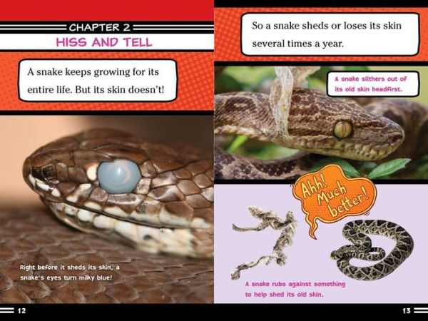 Snakes Smell with Their Tongues!: And Other Amazing Facts (Ready-to-Read Level 2)