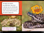 Alternative view 7 of Snakes Smell with Their Tongues!: And Other Amazing Facts (Ready-to-Read Level 2)