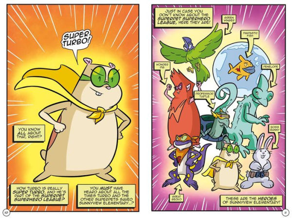 Super Turbo vs. Wonder Pig