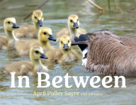 Title: In Between, Author: April Pulley Sayre