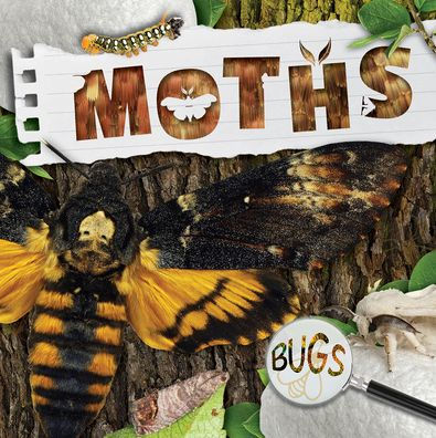 Moths