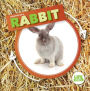 Life Cycle of a Rabbit