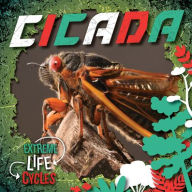 Title: Cicada, Author: E.C. Andrews