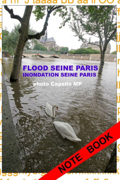 Inondation Seine Paris 2016: Flood Seine Paris