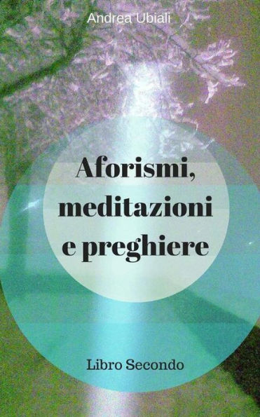 Aforismi, meditazioni e preghiere: Libro Secondo