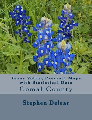 Texas Voting Precinct Maps with Statistical Data: Comal County
