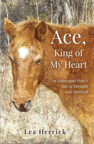 Ace, King of My Heart: An Assateague Pony's Tale of Strength and Survival