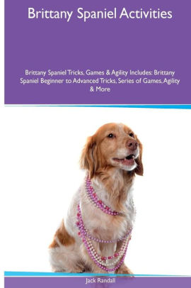Brittany Spaniel Activities Tricks Brittany Spaniel Tricks