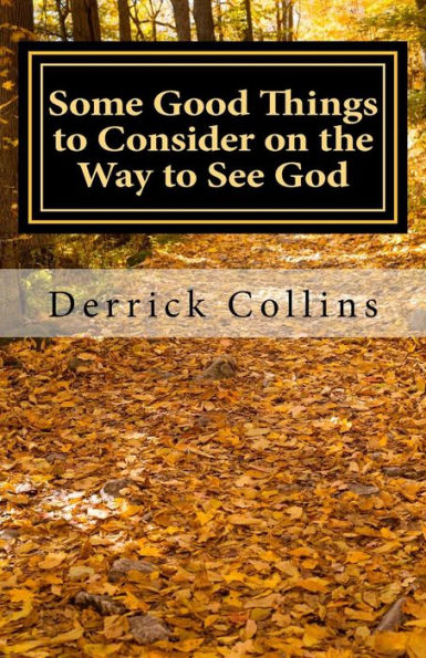Some Good Things to Consider on the Way to See God