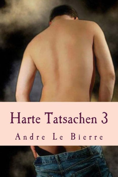 Harte Tatsachen 3: Schwule Erotikgeschichten
