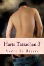 Harte Tatsachen 3: Schwule Erotikgeschichten