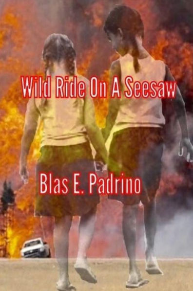 Wild Ride on a Seesaw: A thriller