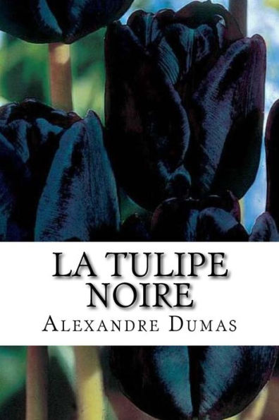 La tulipe noire