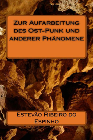 Zur Aufarbeitung des Ost-Punk und anderer Phï¿½nomene