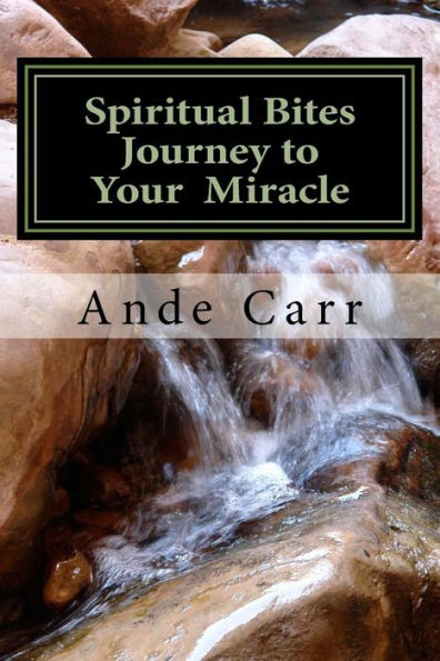 Spiritual Bites: Journey to Your Miracle