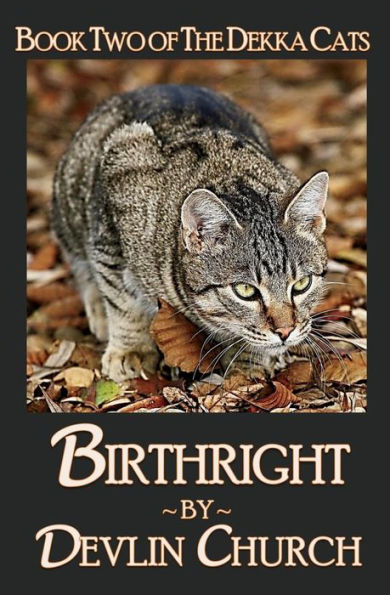 Birthright - Book Two of The Dekka Cats