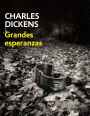 Grandes Esperanzas (Spanish Edition)