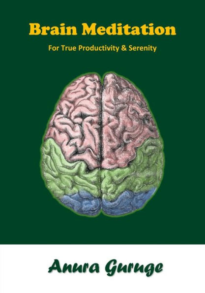 Brain Meditation: For True Productivity & Serenity