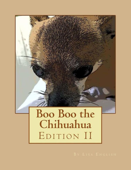 Boo Boo the Chihuahua