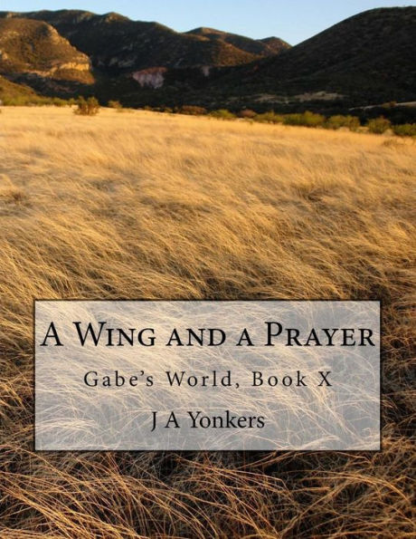 A Wing and a Prayer: Gabe's World, Book X