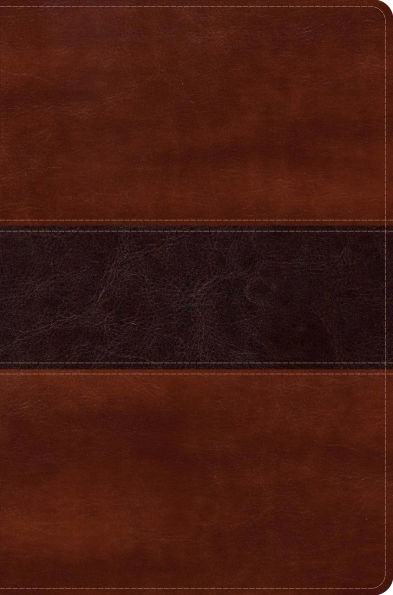 RVR 1960 Biblia del Pescador letra grande, caoba símil piel