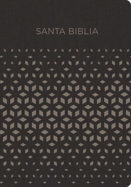 RVR 1960 Biblia para regalos y premios, negro/plata símil piel