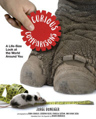 Title: Curious Comparisons: A Life-Size Look at the World Around You, Author: Jorge Doneiger