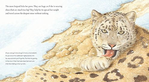 Snow Leopard: Ghost of the Mountains by Justin Anderson, Patrick Benson