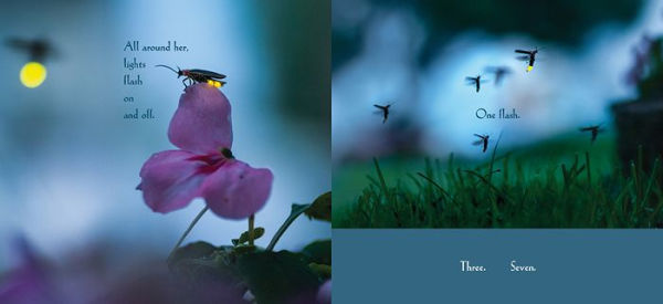 Among a Thousand Fireflies