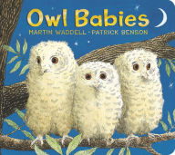 Title: Owl Babies Padded Board Book, Author: Martin Waddell