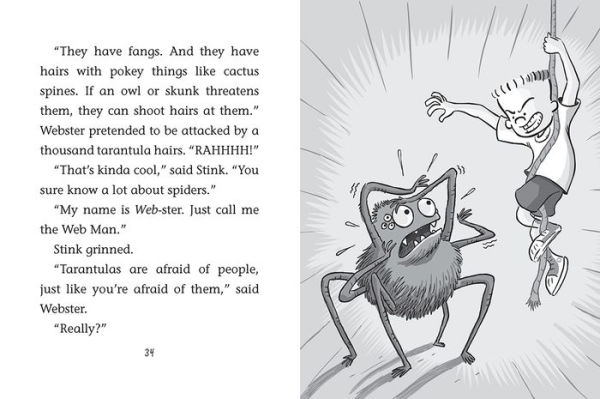 Stink and the Hairy Scary Spider (Stink Series #12)