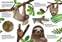 Alternative view 2 of Masters of Disguise: Camouflaging Creatures & Magnificent Mimics