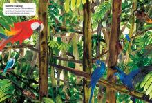 Alternative view 3 of Masters of Disguise: Camouflaging Creatures & Magnificent Mimics