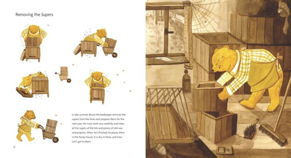 Bruno the Beekeeper: A Honey Primer