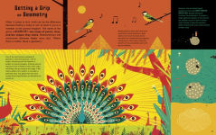 Alternative view 4 of The Language of the Universe: A Visual Exploration of Mathematics