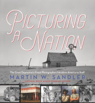 Google book downloader free Picturing a Nation: The Great Depression's Finest Photographers Introduce America to Itself by  (English literature) 9781536215250