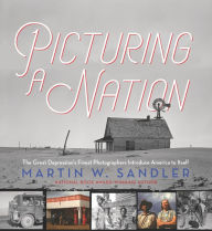 Title: Picturing a Nation: The Great Depression's Finest Photographers Introduce America to Itself, Author: Martin W. Sandler