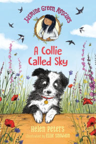 Title: Jasmine Green Rescues: A Collie Called Sky, Author: Helen Peters