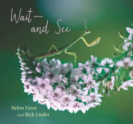 Title: Wait and See, Author: Helen Frost
