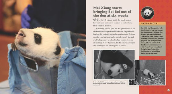 Bei Goes Home: A Panda Story